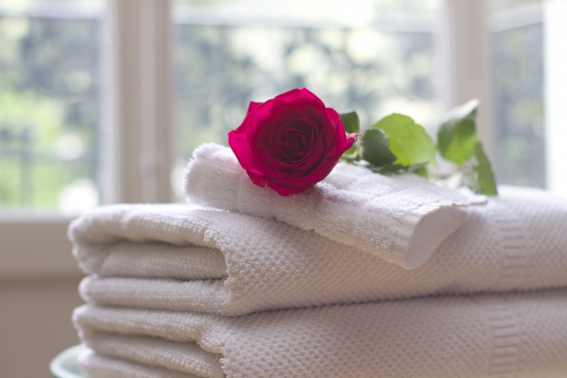 chambre-hote-COARAZE-min_towel_rose_clean_care_salon_spa_white_bath-731641